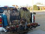 Gauge with his birds 
 
Kansas - Dec 2008