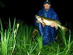 Walleyes