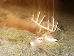 Ten  Point Buck opener 2010 Sat 001 [Desktop Resolution]