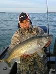 Lake Erie walleye