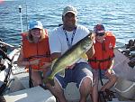 walleye pics