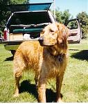 Jack at 1yr camping at Kalbus