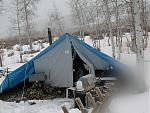 elk camp in late winter