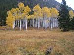 Elk Hunting