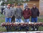 Pheasant hunt