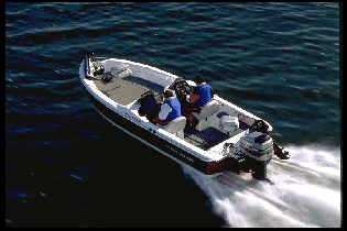 Catch fish with Remote Control Boats or use your own