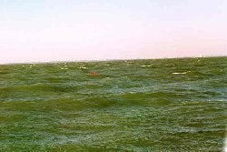 Lake Erie